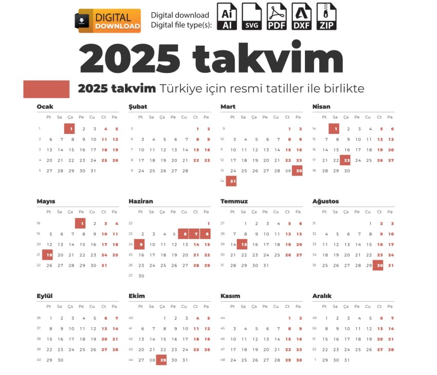 2025 Takvimi cizimindir